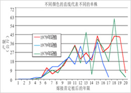 马汉碧根果